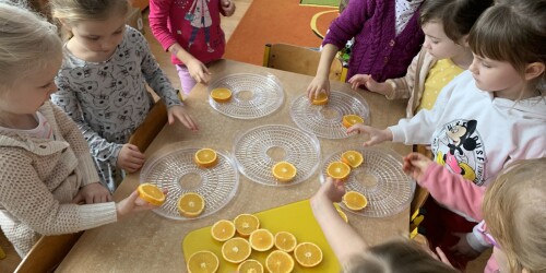 dzieci układają plastry pomarańczy na suszarce